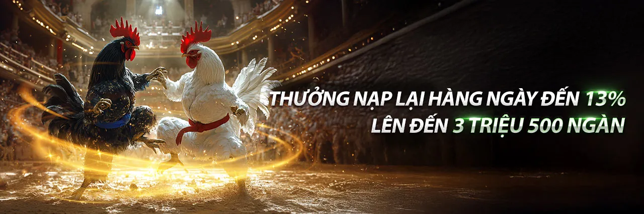 Hình ảnh đại diện 2bong trang chủ chính thức